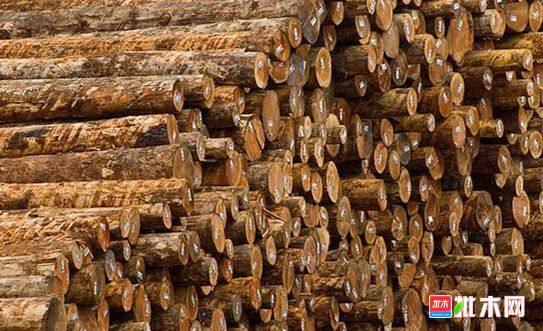 批木网 anywood.com