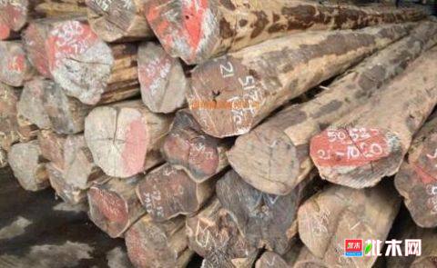 批木网 anywood.com