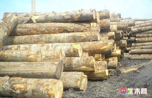 批木网 anywood.com