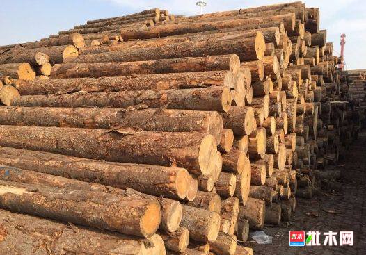 批木网 anywood.com