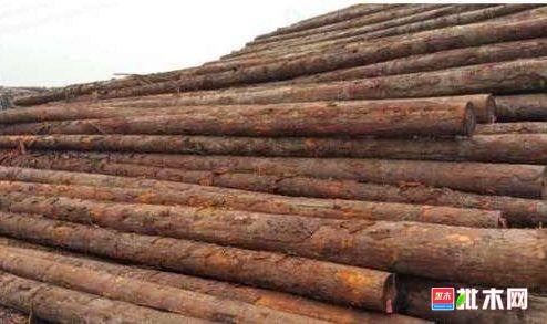 批木网 anywood.com
