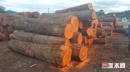 批木网anywood.com