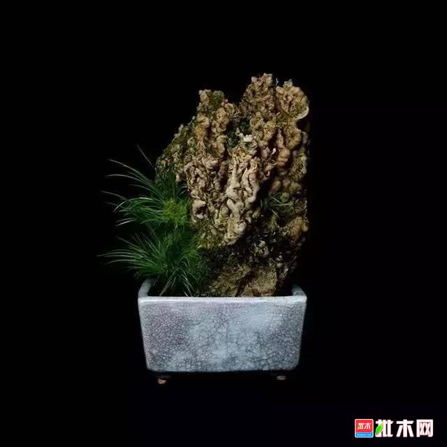 批木网 anywood.com