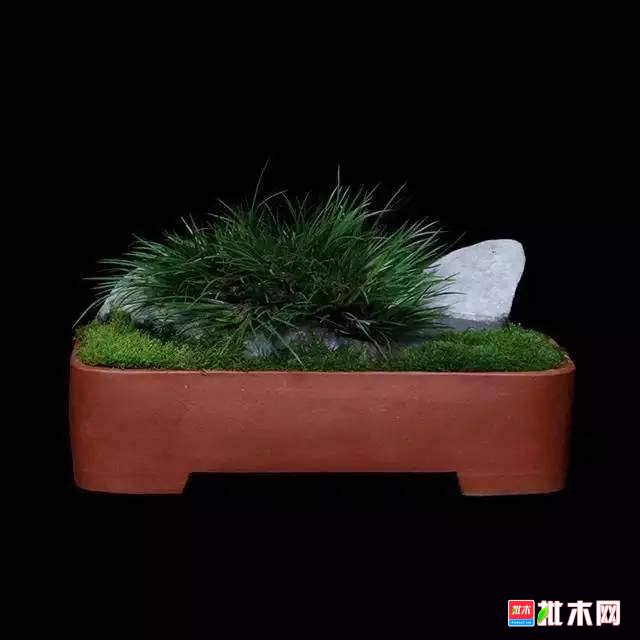 批木网 anywood.com
