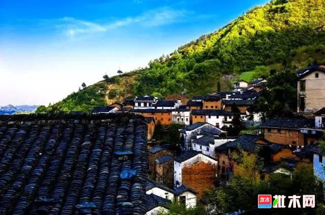 批木网 anywood.com