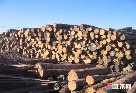 批木网 anywood.com