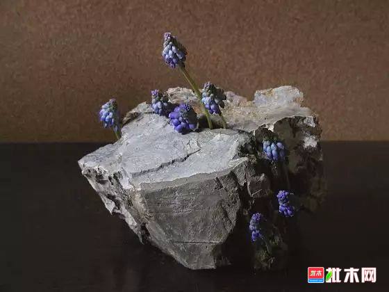 批木网 anywood.com