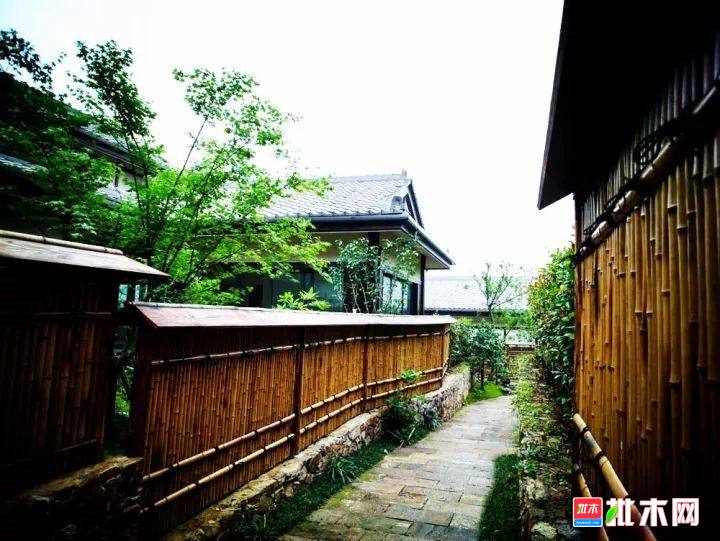 批木网 anywood.com