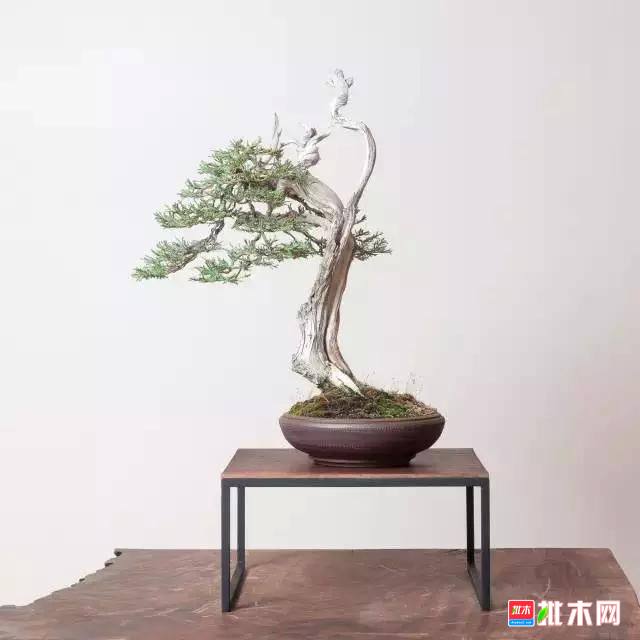 批木网 anywood.com