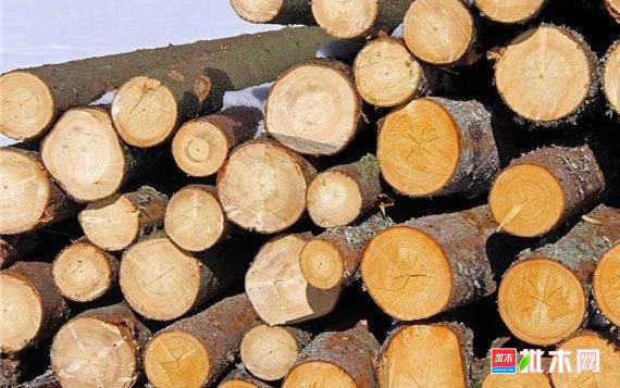 批木网  anywood.com