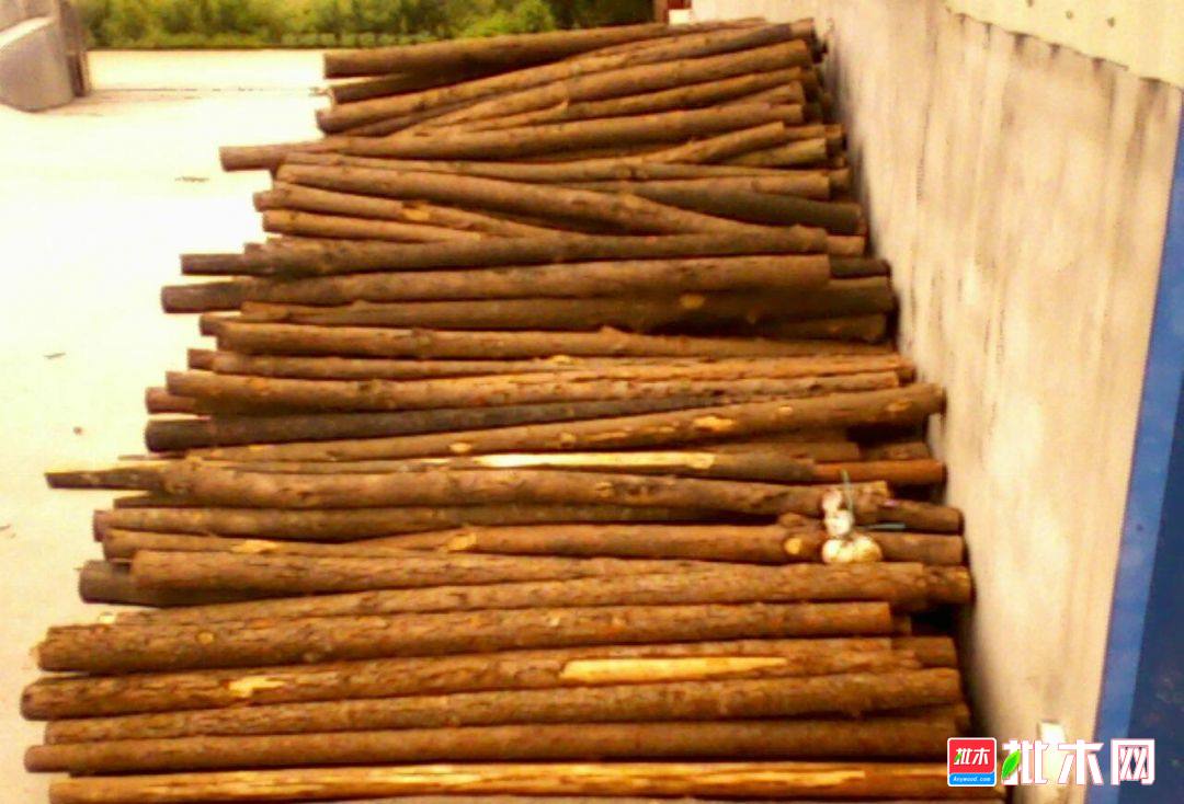 批木网anywood.com