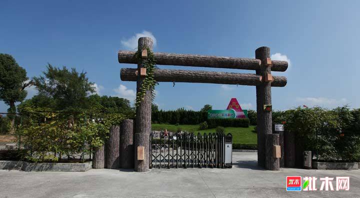 批木网anywood.com