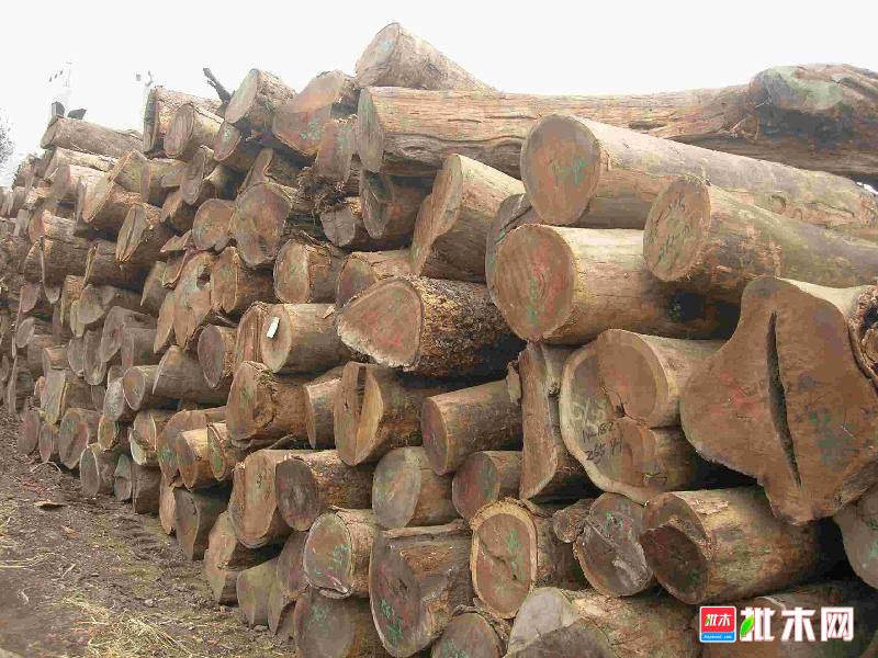 批木网anywood.com