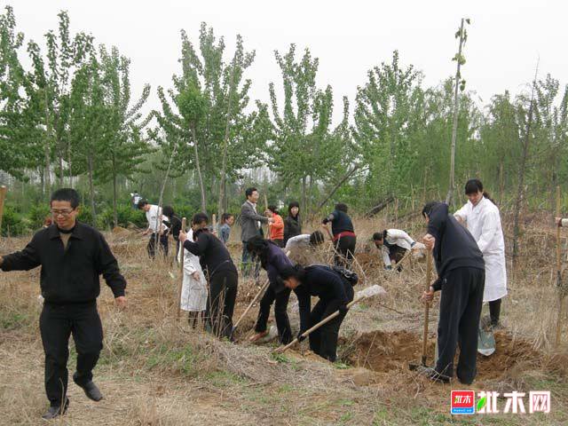 批木网anywood.com