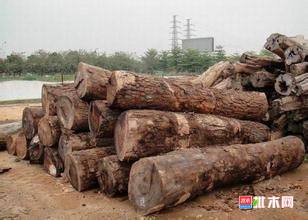 批木网anywood.com