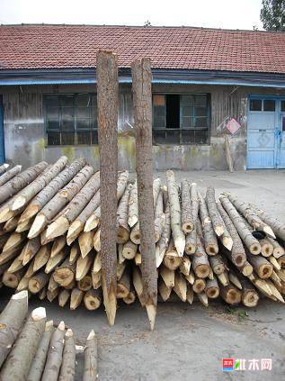 批木网anywood.com