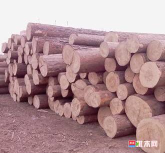 批木网anywood.com