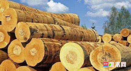 批木网anywood.com