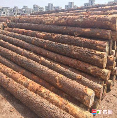 批木网 anywood.com