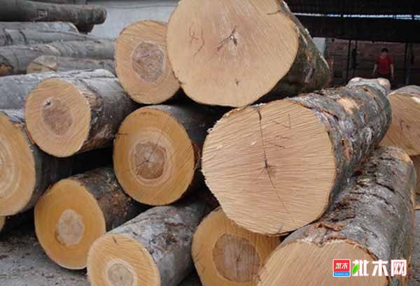 批木网anywood.com