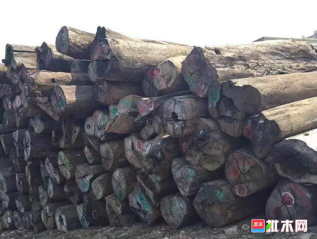 批木网anywood.com