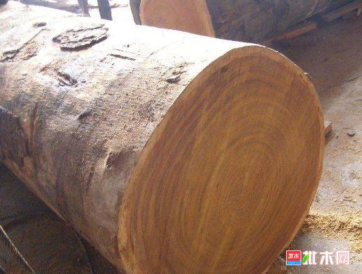 批木网 anywood.com