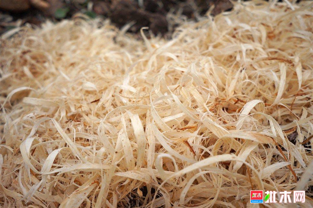 批木网anywood.com