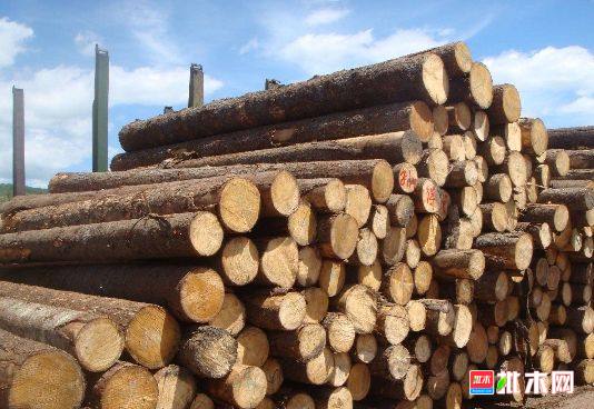 批木网 anywood.com