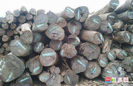 批木网 anywood.com
