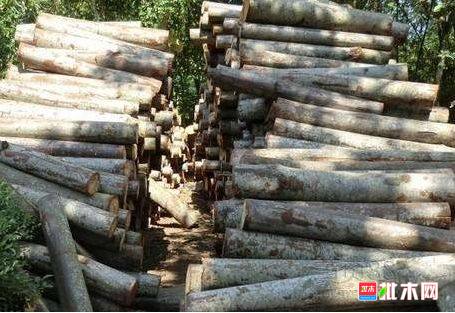 批木网 anywood.com