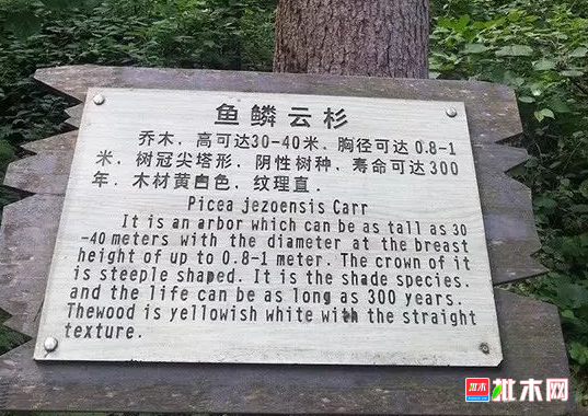批木网 anywood.com
