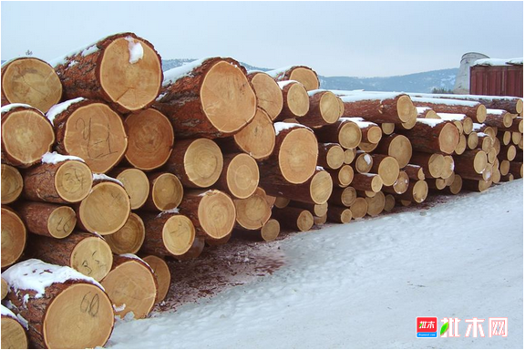 批木网 anywood.com