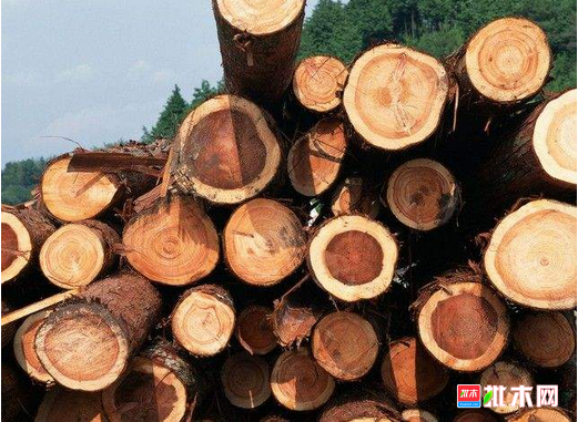 批木网 anywood.com