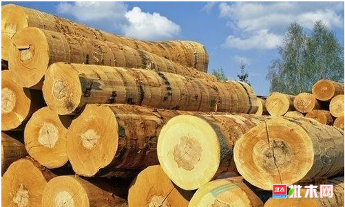 批木网 anywood.com