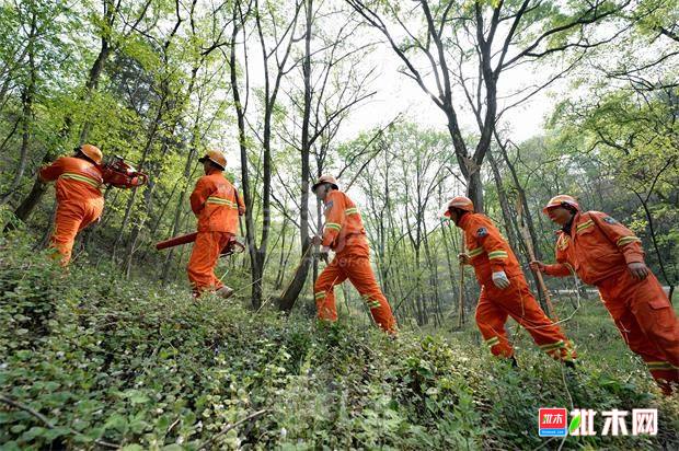 批木网anywood.com