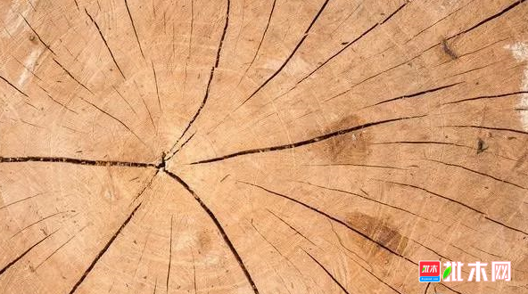 批木网 anywood.com