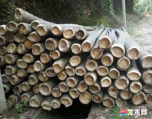 批木网 anywood.com