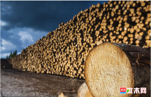 批木网 anywood.com