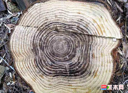 批木网 anywood.com