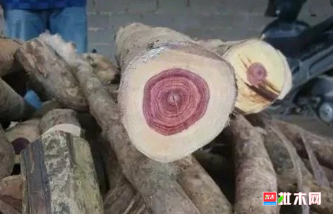 批木网 anywood.com