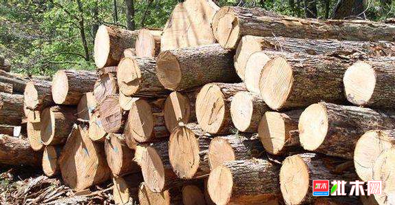 批木网 anywood.com