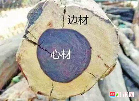 批木网anywood.com