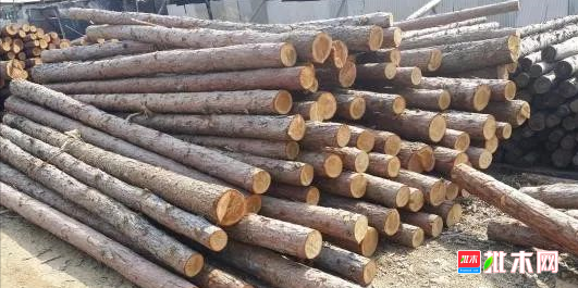  批木网 anywood.com