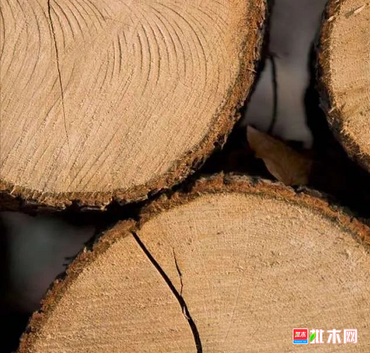  批木网 anywood.com