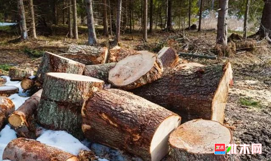  批木网 anywood.com