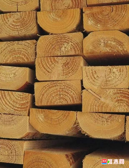  批木网 anywood.com