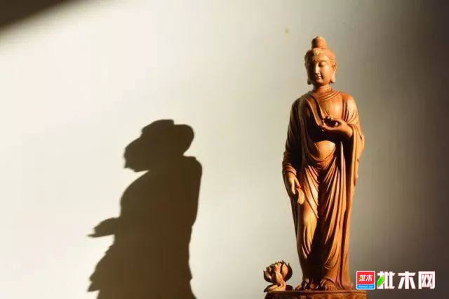 批木网anywood.com