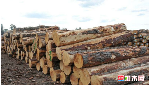 批木网 anywood.com