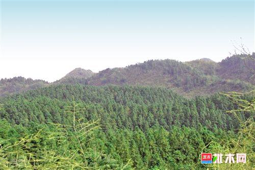 批木网anywood.com
