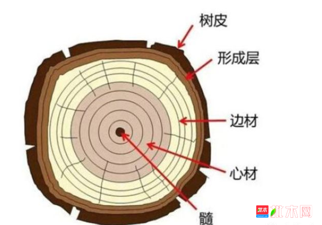 批木网 anywood.com